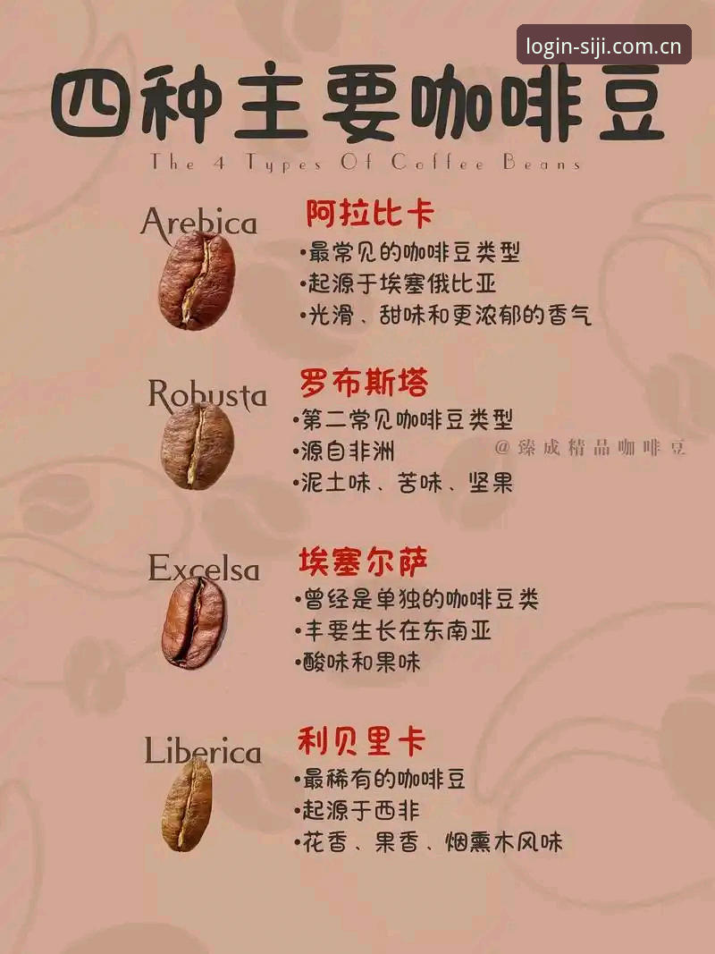 从入门到精通，老用户分享四季体育官网登录入口足球数据必备实战经验